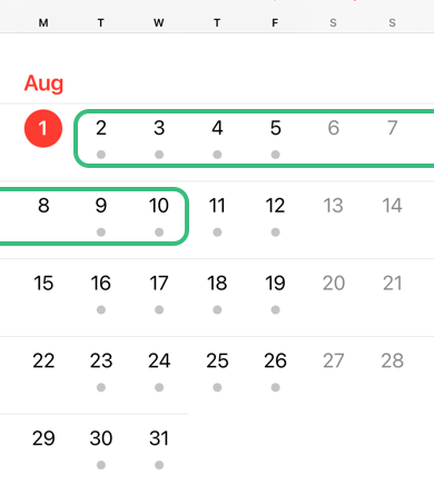 an iphone calendar in month view with 10 days in the future highlighted 